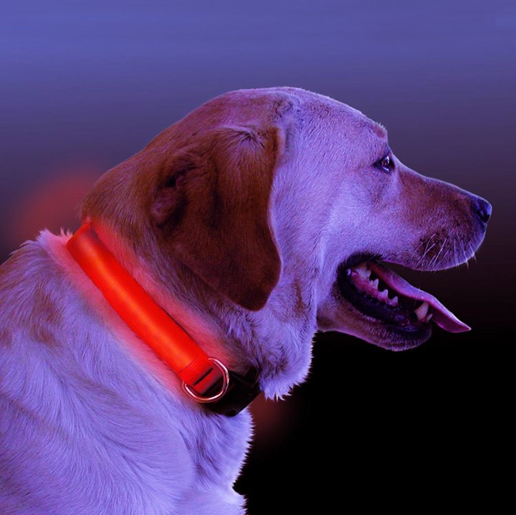 Collare per cani luminoso a led